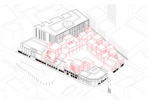 Pauline DE NARDI - DE NARDI PAULINE